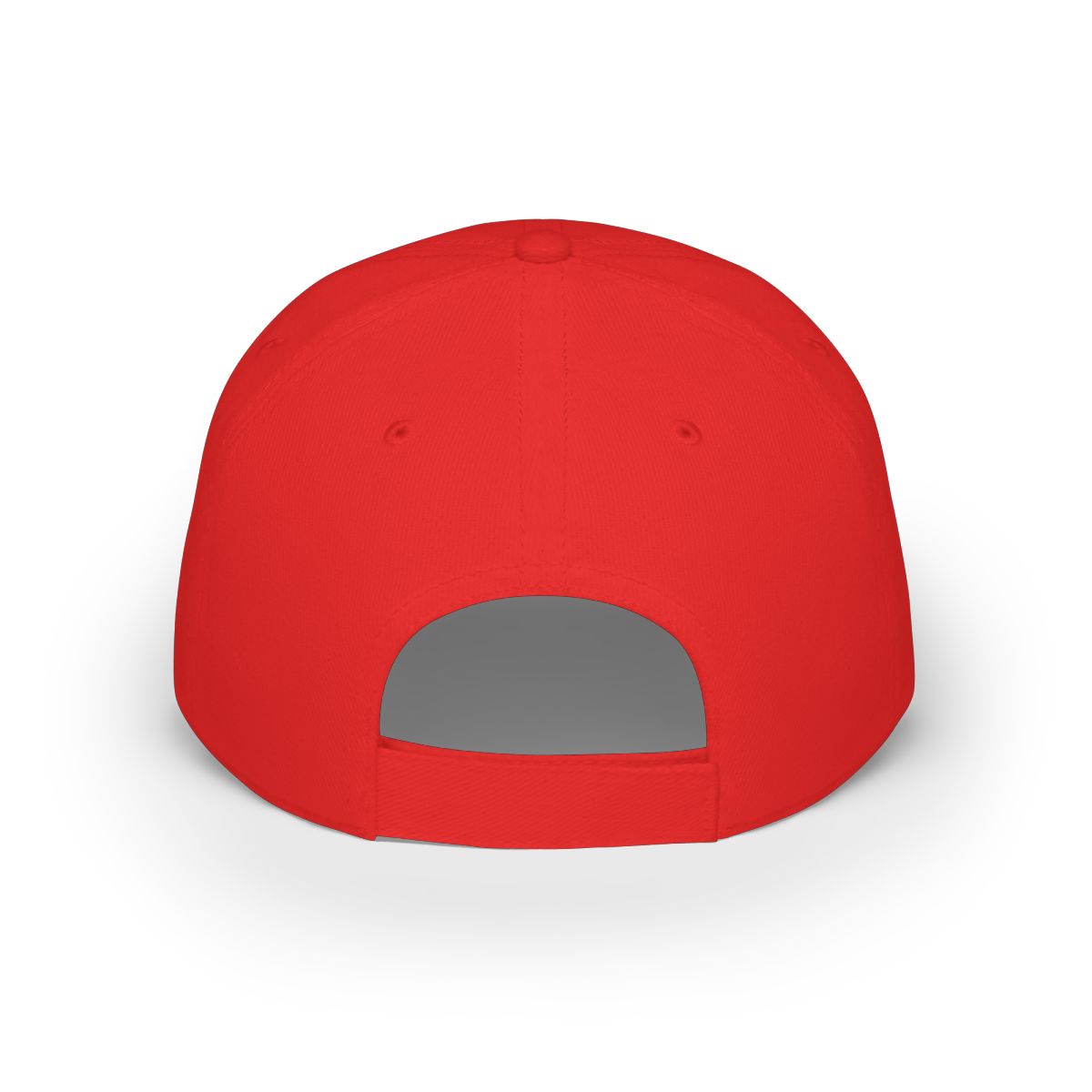 Grey and Red Skull Logo Hat | Zach Top - alternate angle 1, merchandise